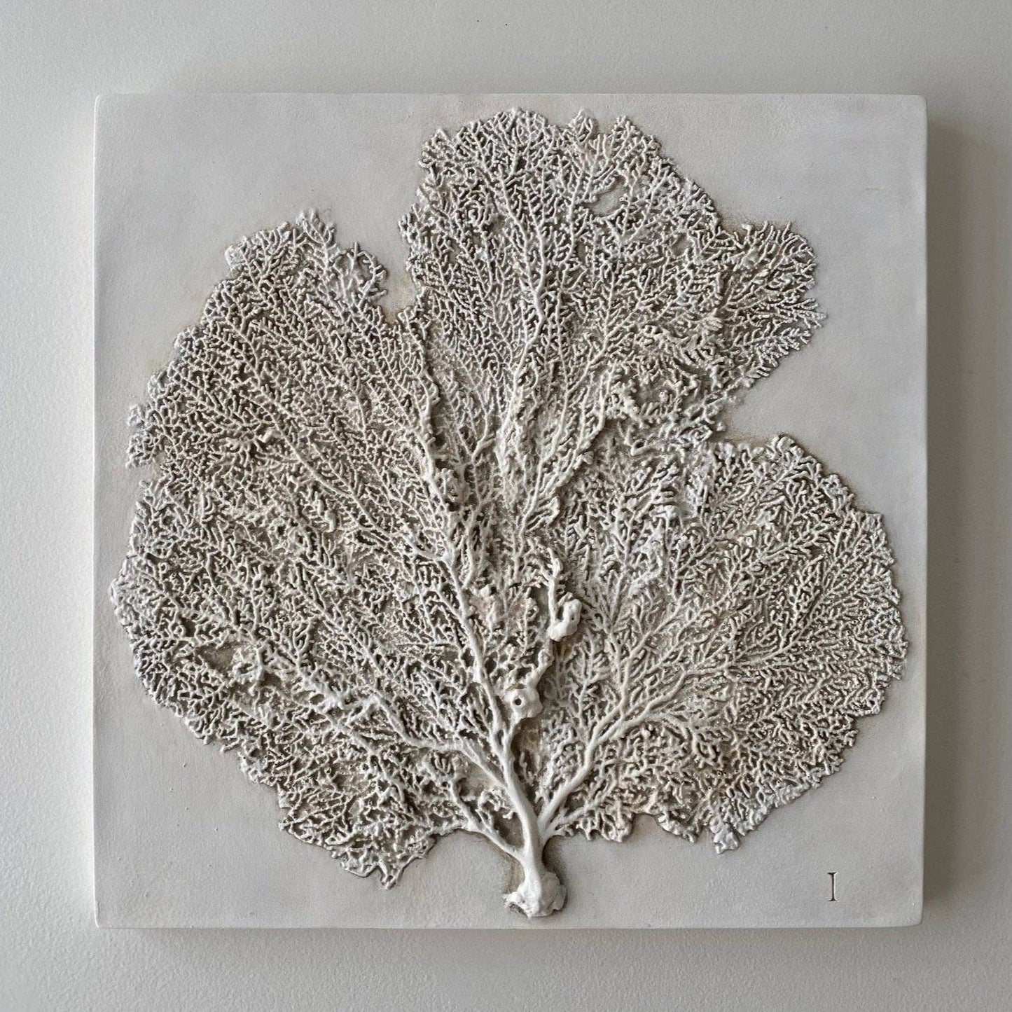 Sea Fan I: Studio White