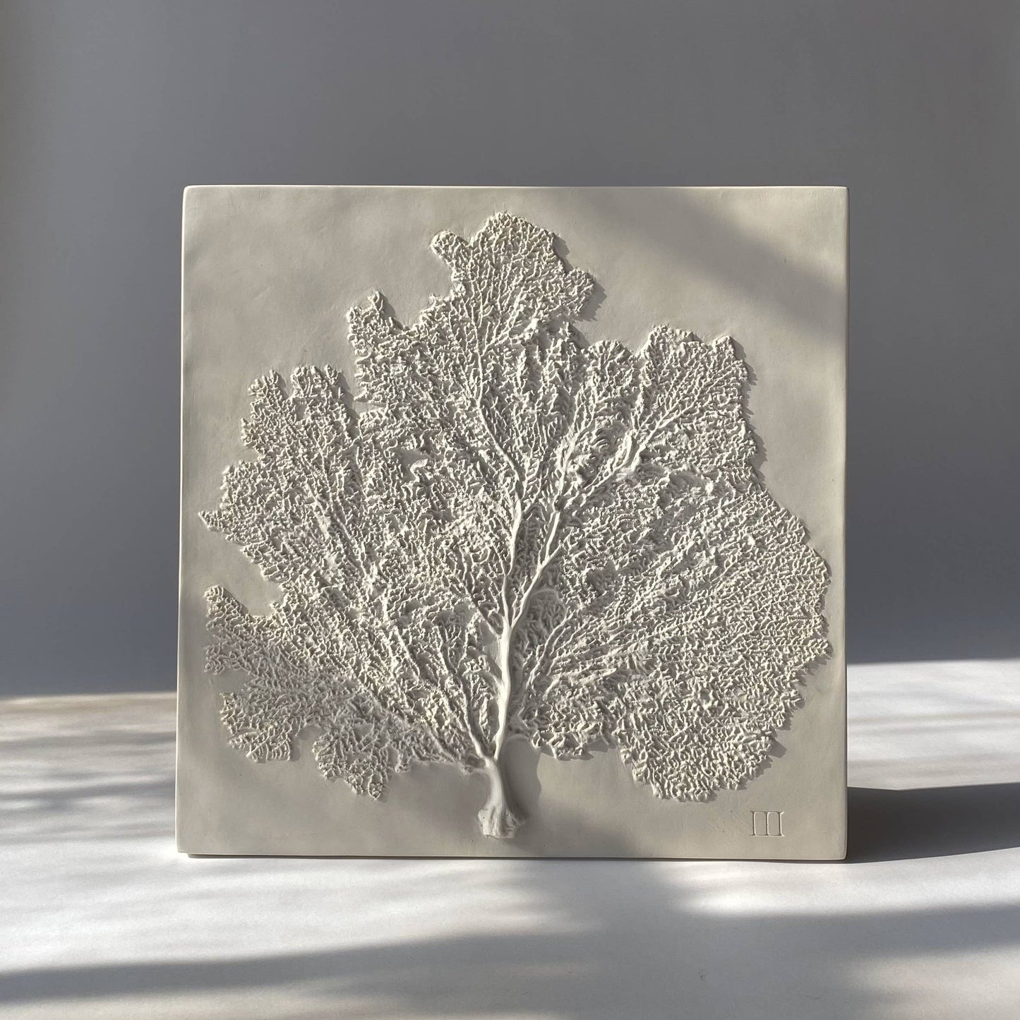 Sea Fan III: Studio White