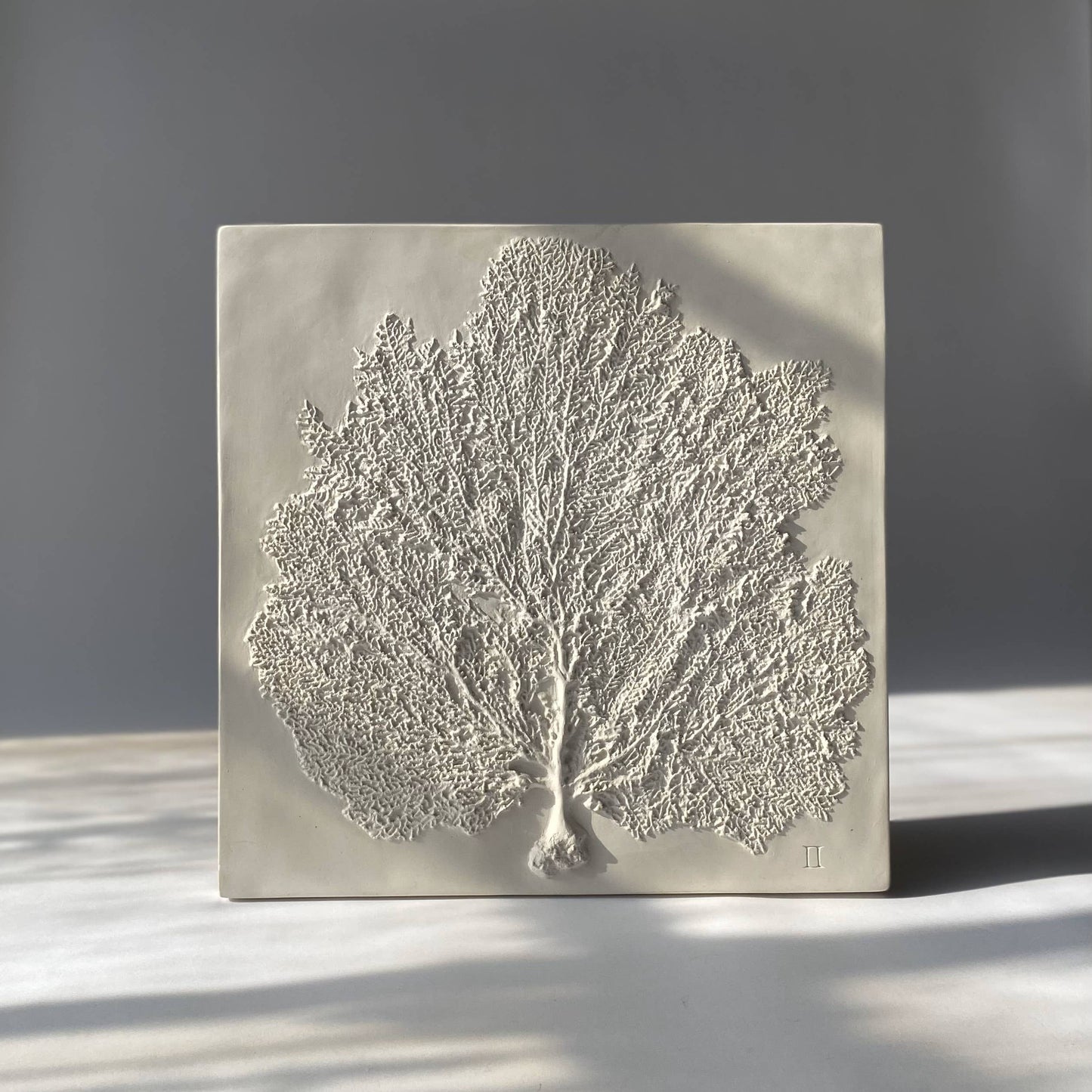 Sea Fan II: Studio White