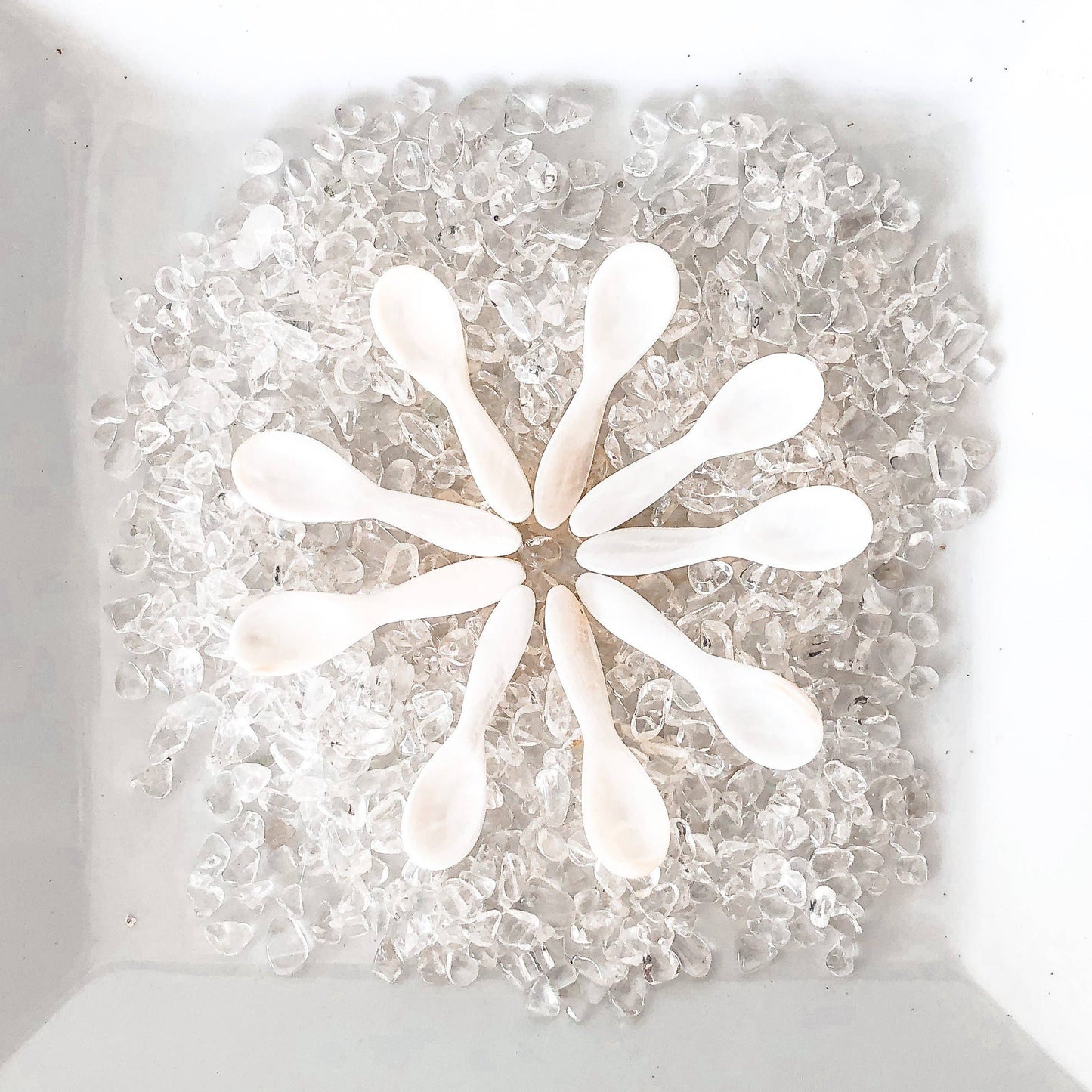 Salt & Pepper Set: Natural Oyster w/ Mother of Pearl spoons