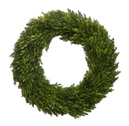 Boxwood Wreath Round 24" (case of 6)
