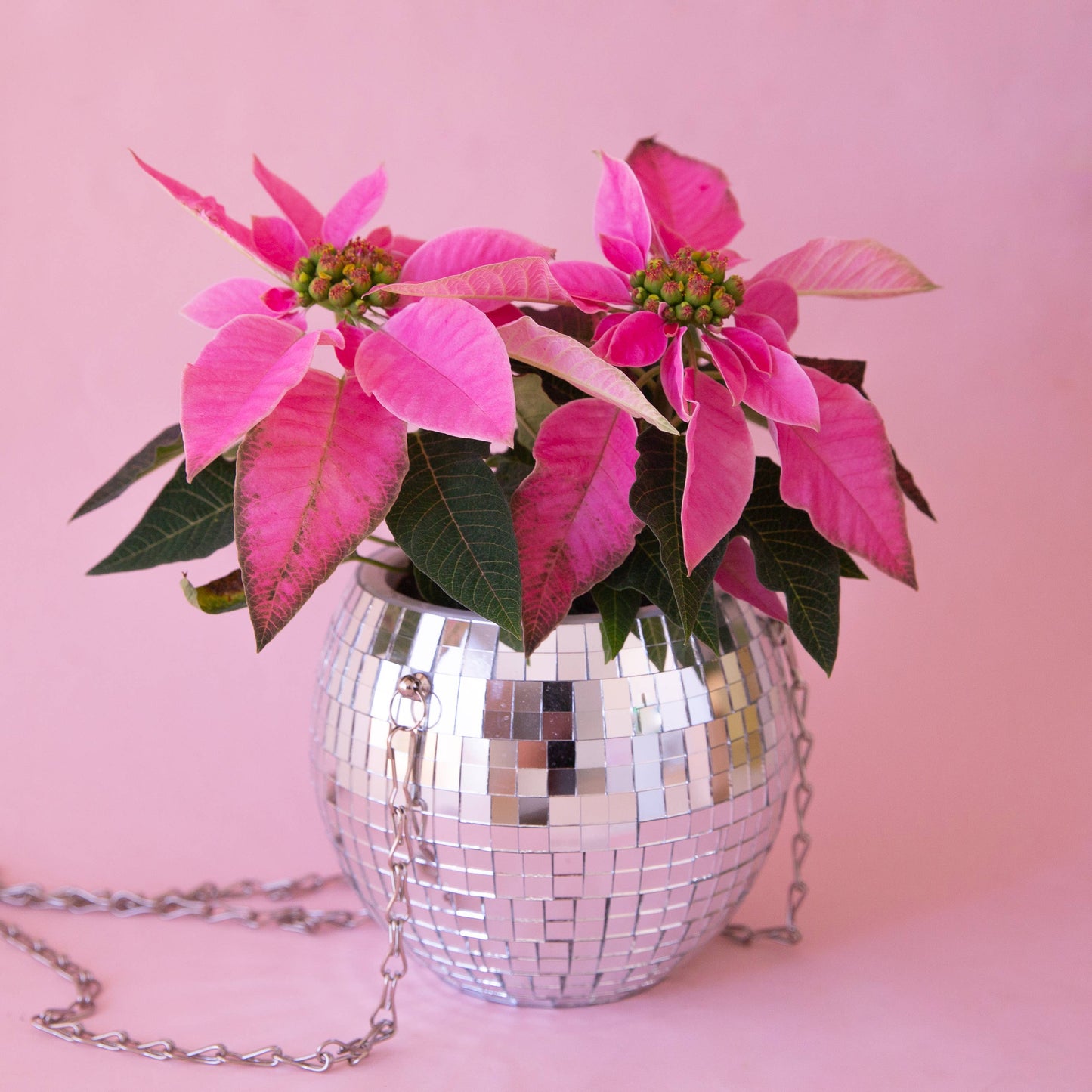 Disco Hanging Planter: 6"