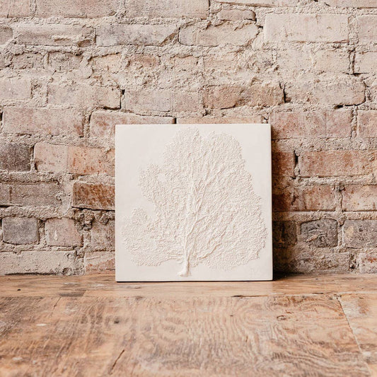 Sea Fan IV: Studio White