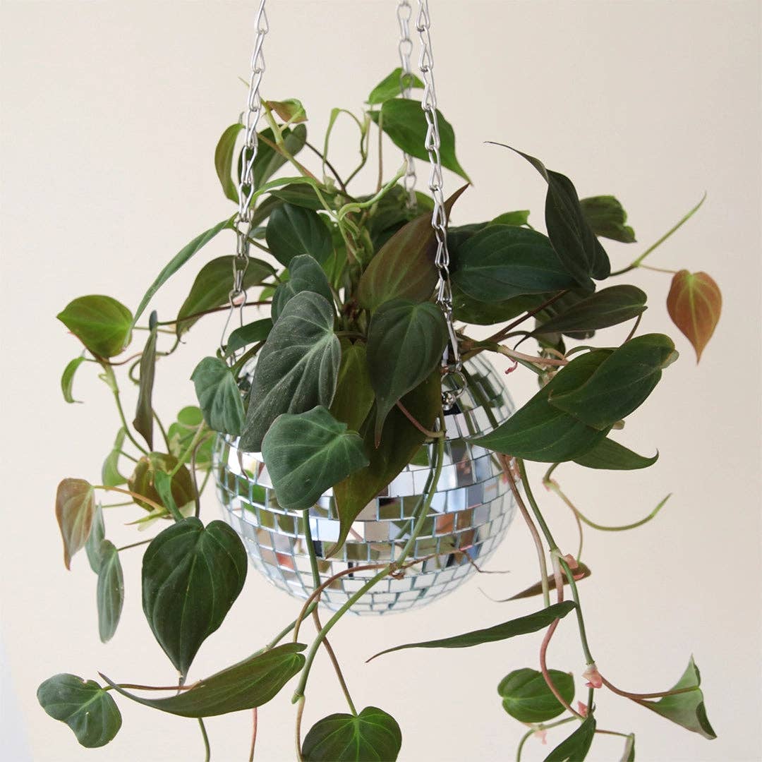 Disco Hanging Planter: 6"