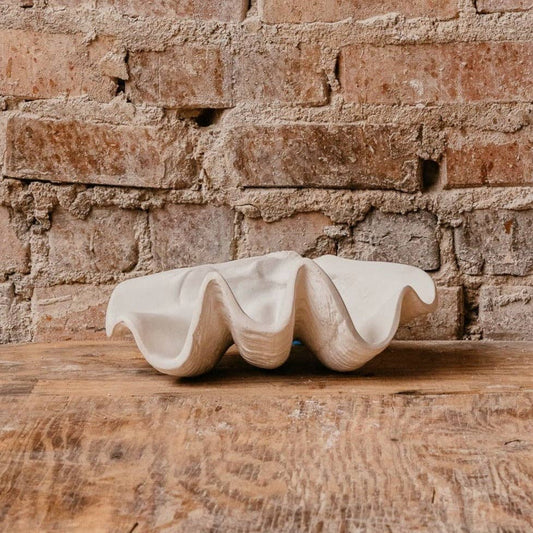 Small Clam Shell: Studio White