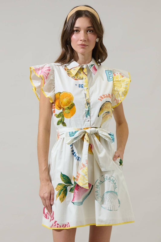 Zahra Island Maia Ruffle Collared Mini Dress: Ivory Multi