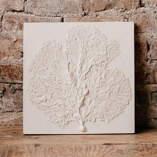 Sea Fan I: Studio White