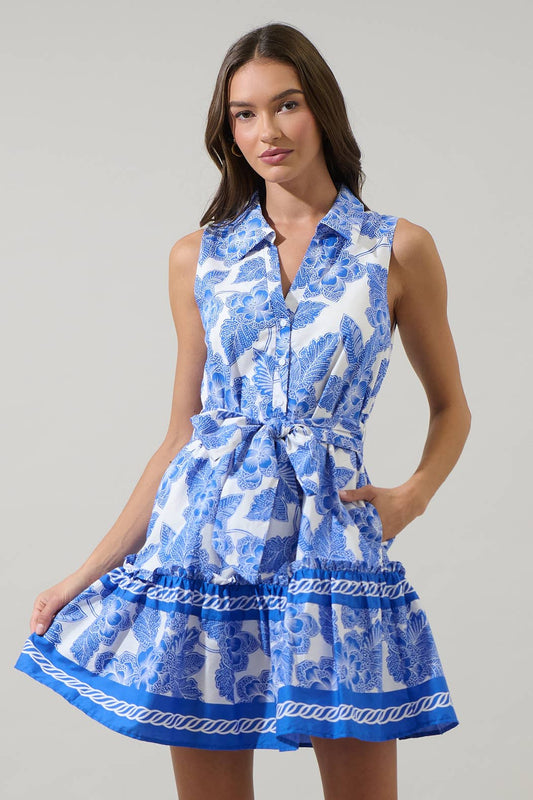 Rency Floral Zady Sleeveless Mini Dress: WHT-BLU / S