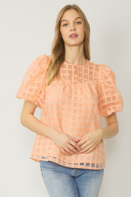 Chiffon Mesh Grid Top: Peach