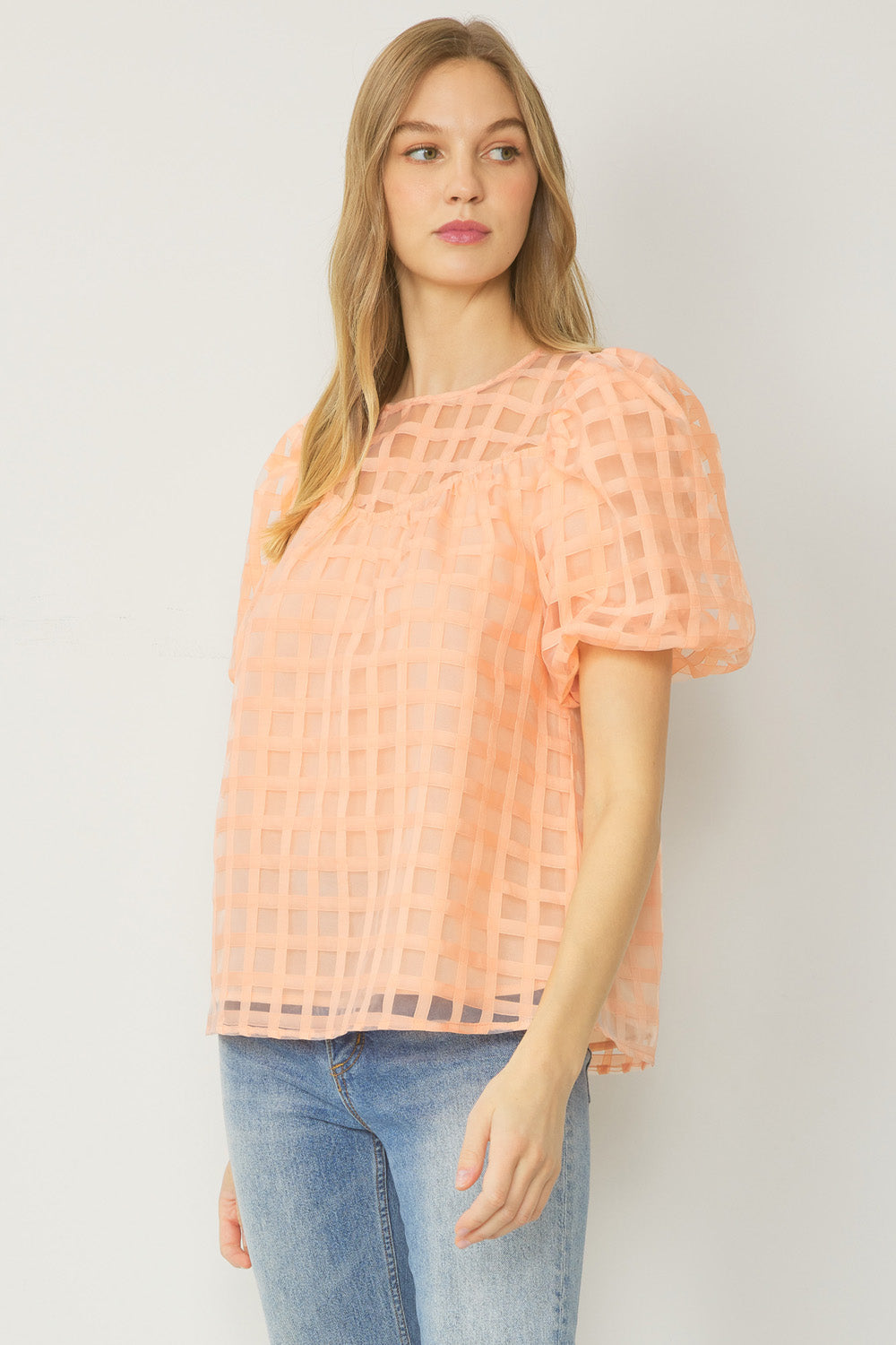 Chiffon Mesh Grid Top: Peach