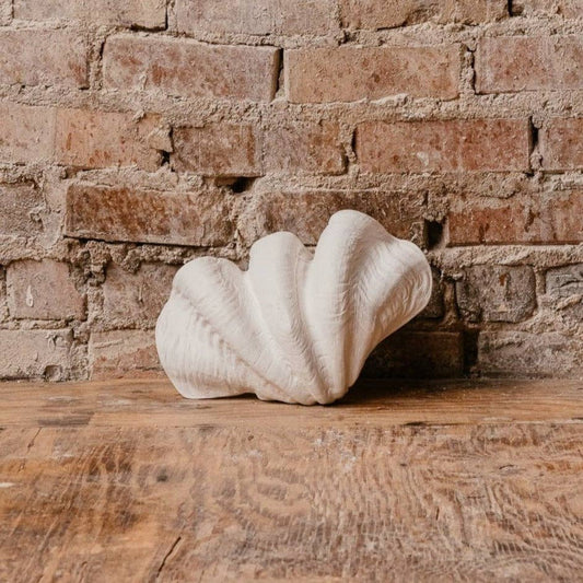 Small Clam Shell: Studio White