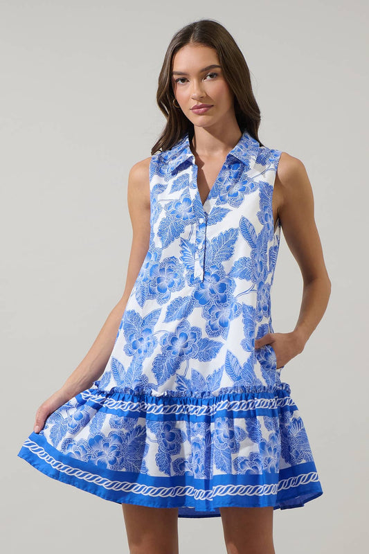Rency Floral Zady Sleeveless Mini Dress: WHT-BLU / S